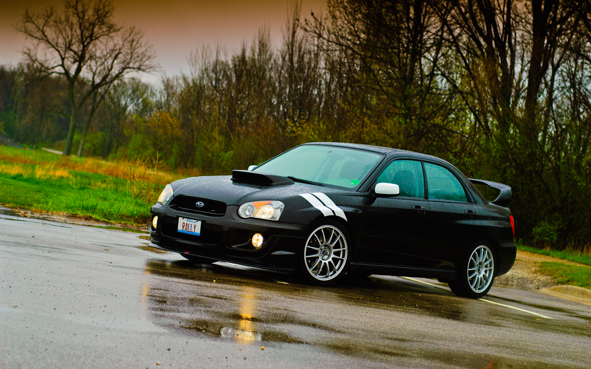 Scooby Wrx